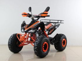 Квадроцикл MOTAX ATV T-Rex Super LUX 50 cc