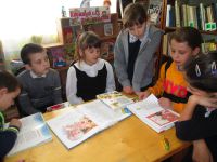 Большекосульская модельная библиотека