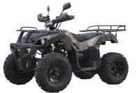 Квадроцикл UNIVERSAL Avenger JR 200