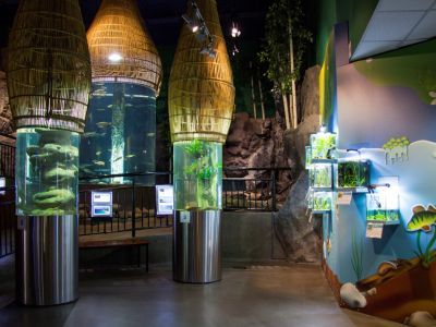 Санкт-Петербургский океанариум