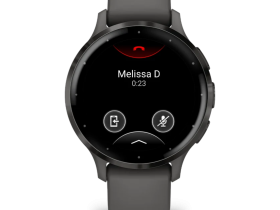 Смарт-часы Garmin Venu 3s Slate Pebble/Gray (010-02785-00)