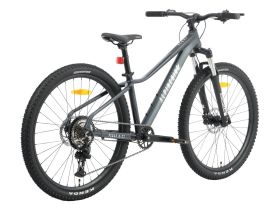 Женский велосипед Alpine Bike Pegas 8-27, год 2026, цвет Серый, ростовка 16