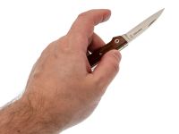 Нож складной Massimo Fantoni Design-2 Dweller FAN/DWELLER/SnW, сталь 19C27, рукоять Snake Wood