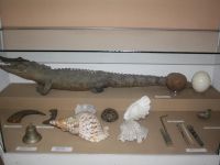 Чердынский краеведческий музей им. А. С. Пушкина