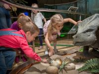 Государственный Дарвиновский музей