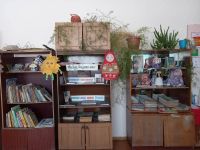 Апалихинская сельская библиотека-филиал