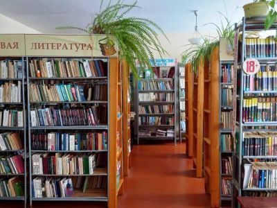 Пижменская сельская библиотека