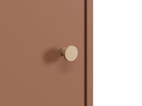 Распашной шкаф Торвалль 1.1-50x185 Терракотовый