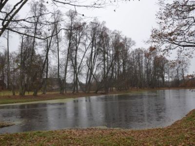 Усадьба Обольяниновых-Сазиковых "Дубцы"