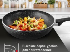 Индукционная сковорода-вок Tefal Brut 28 см 04236628