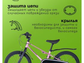 Детский велосипед Maxiscoo Shark Sport 16, год 2025, цвет Розовый