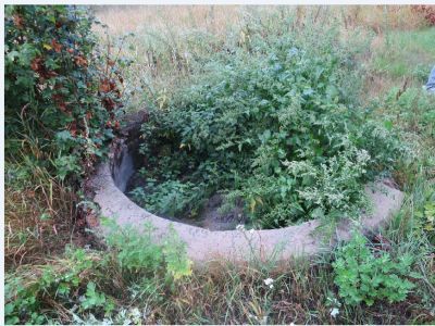 Парковый фонтан