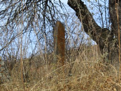 Могила Баскан Омара знаменосца Шамиля