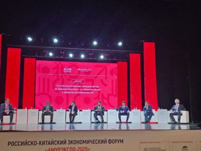 Проект смешанного пункта пропуска Джалинда – Мохэ обсудили на форуме «АмурЭкспо»