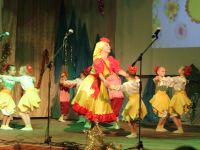 Бобринский дом культуры