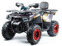 Квадроцикл MOTOLAND 200 Wild Track X Pro (2022)