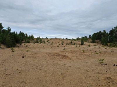 Передачу о Диринг-Юряхе покажут сегодня на телеканале «Моя планета»