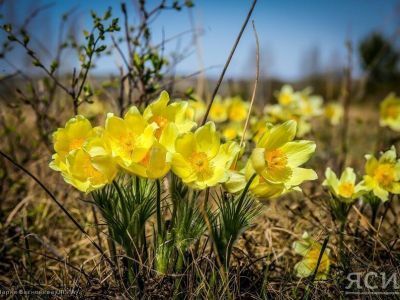 Короткая рабочая неделя ждет россиян