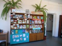 Районная библиотека с. Валдгейм