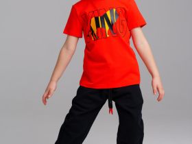 Фуфайка трикотажная для мальчиков (футболка)