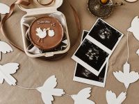 Гирлянда-растяжка бумажная Paper Monstr "Птички"