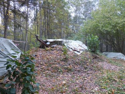 Партизанский лагерь клетнянских лесов