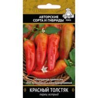 Перец острый Красный толстяк