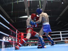 Кикбоксеры Якутии завоевали девять золотых медалей чемпионата Дальнего Востока