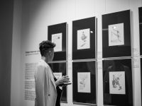 Галерея Bashmakov Gallery