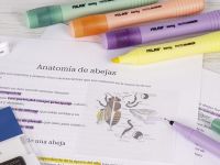 Набор текстовыделителей Milan "SWAY Pastel" 4 цвета