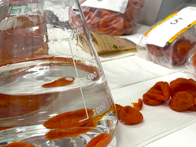 Моем курагу: можно ли смыть диоксид серы с сухофруктов?