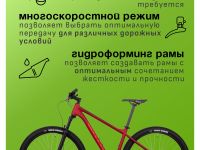 Горный велосипед Atom Bion Nine 350, год 2024, цвет Красный, ростовка 20