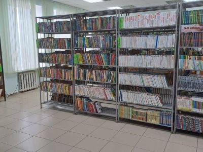 Детская библиотека с. Новоселицкого