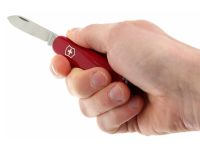 Нож перочинный Victorinox Bantam, сталь X55CrMo14, рукоять Cellidor®, красный