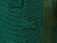 Мужские хлопковые спортивные брюки Lacoste