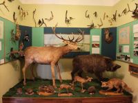 Алексеевский краеведческий музей