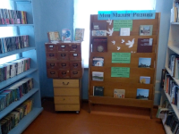 Красноярская сельская библиотека