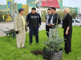 В Якутске на площади Победы высадили 33 ели