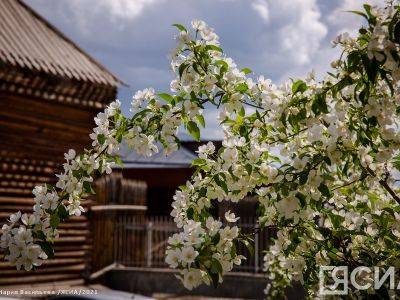 В Старом городе Якутска могут ограничить время работы баров