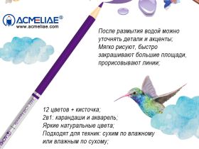Набор карандашей акварельных цветных Acmeliae 12 цв.+кисточка