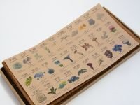 Набор пастели сухая, мягкая ручной работы EARTHBERRY "Иней", 30 цветов