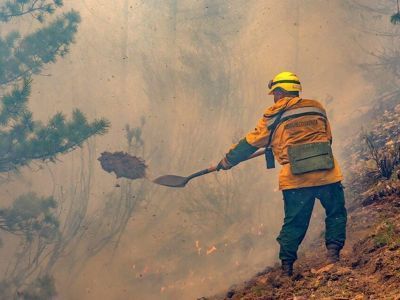 В трех районах Якутии снят режим ЧС из-за лесных пожаров