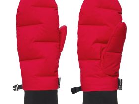 Рукавицы BASK