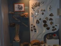 Елатомский краеведческий музей