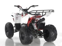 Квадроцикл ATV Commander Spark