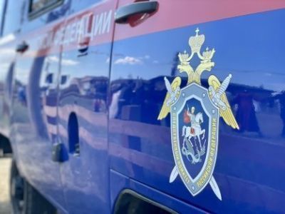 По факту халатности, повлекшей гибель ребёнка, возбуждено уголовное дело