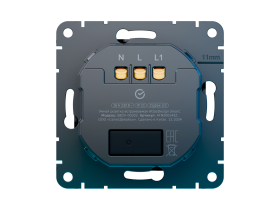 Умная розетка Sber встраиваемая, карбон.