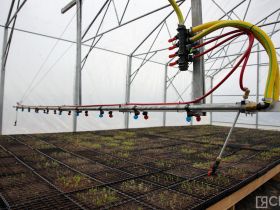 Крупнейший в Якутии лесопитомник открыли в селе Табага