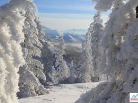 Автотур "Колыма". Маршрут: Якутск - Оймякон - Магадан