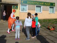 Выставочный зал Кировского городского зоологического музея на ул. Ленина